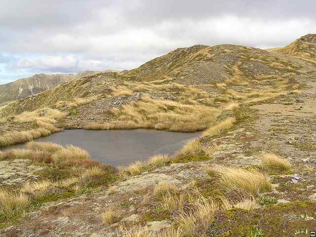 Ruahine - Sunrise Hut 077.jpg